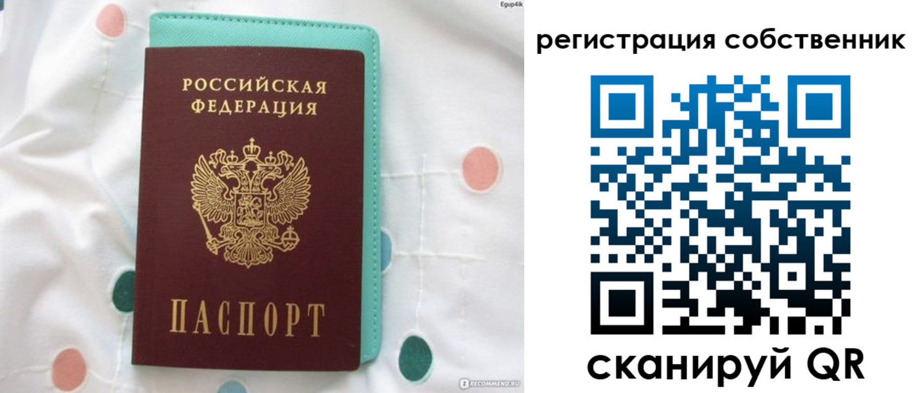 прописка для школы в Талице